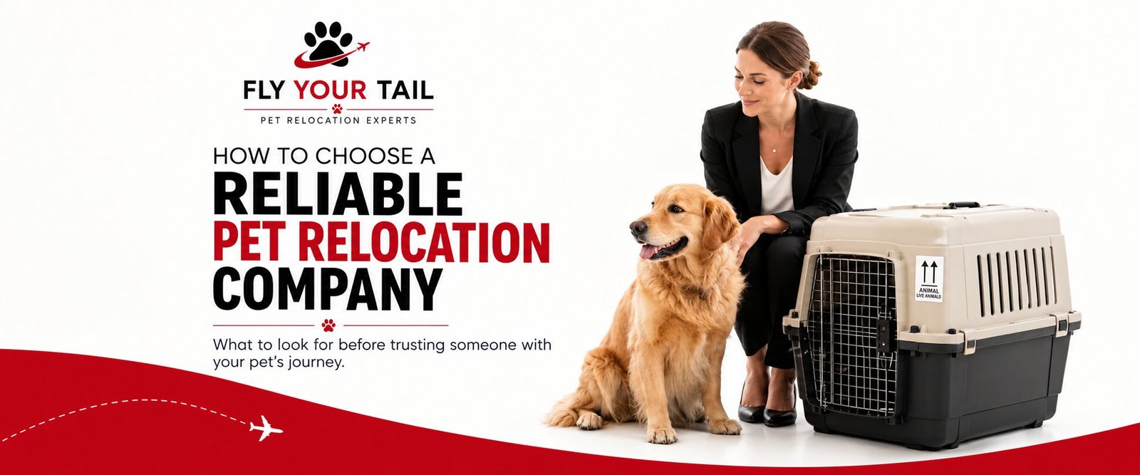 How to Choose a Reliable Pet Relocation Company